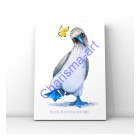 Blue-Footed Boobie Bird Animal PRINT