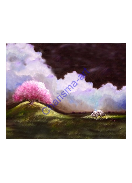 Asleep In The Light (Wide) PRINTS