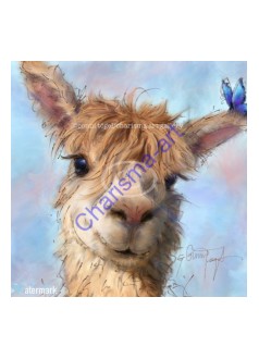 Al Paca Alpaca/Llama