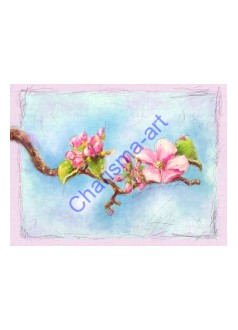 Bloom Where You Are Planted LE PRINT