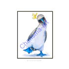Blue-Footed Boobie Bird Animal PRINT