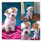 Custom Art Pet Portrait Painting