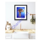 Meeting A Friend Alpaca Art PRINT