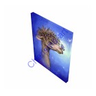 Meeting A Friend Alpaca Art PRINT