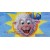 Ewe's Maaah Sunshine License Plate