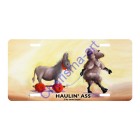Sheep Incognito License Plates