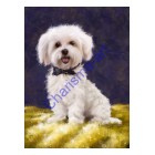 Custom Art Pet Portrait Painting